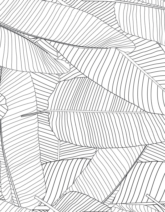 Grey Leaves / Black